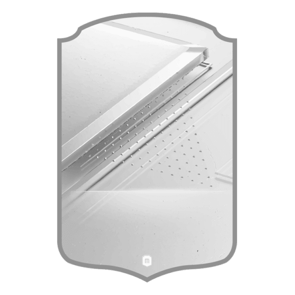 FC24 Silver Rare